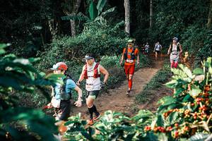 BIB: 
                            <button type="button" onclick="openModal(25827138)" class="btn btn-primary btn-sm float-right btn-popup" data-toggle="modal" data-target=".modal-high-quality">
                        <i class="fas fa-shopping-cart"></i> Add to Cart
                    </button>
                                            <button type="button" onclick="isThisMe(25827138, true)" class="btn btn-success btn-sm float-right btn-popup btn-isme hidden" data-toggle="tooltip" data-placement="bottom" title="นี่คือรูปของคุณใช่ไหม คลิกที่นี่เพื่อเอาเข้าอัลบั้ม">
                        <i class="fas fa-plus"></i> Add to album
                    </button>
                    <button type="button" onclick="isThisMe(25827138, false)" class="btn btn-warning btn-sm float-right btn-popup btn-isnotme hidden">
                        <i class="fas fa-ban"></i> Remove from album
                    </button>